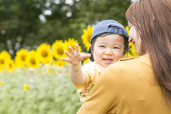 【2024年ひまわりロケーションフォト】
